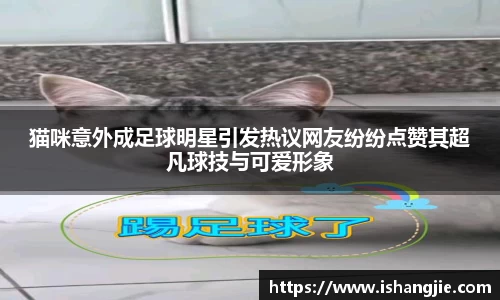 jbo竞博.体育官方网站